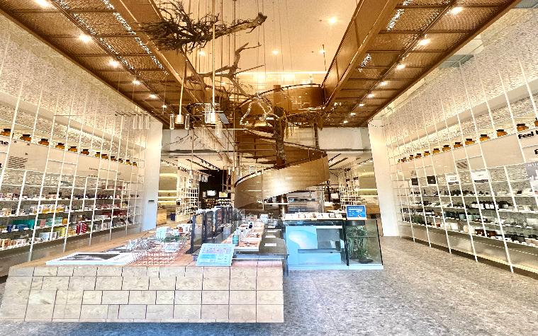 Molecule Pharmacy