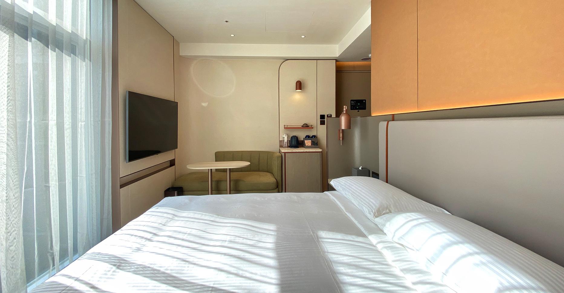 Standard Floor│Halo Room